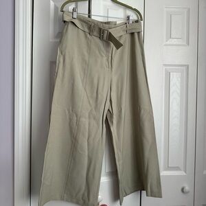 Ann Taylor Mint Green Cropped Pants with Belt | Size: 10
